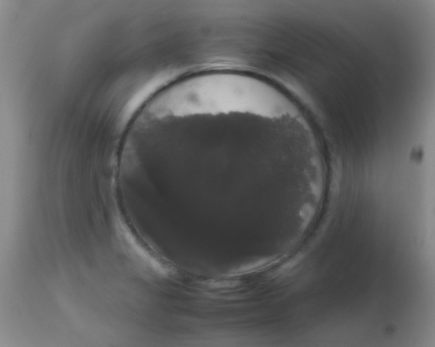 X0000113851325200910151202