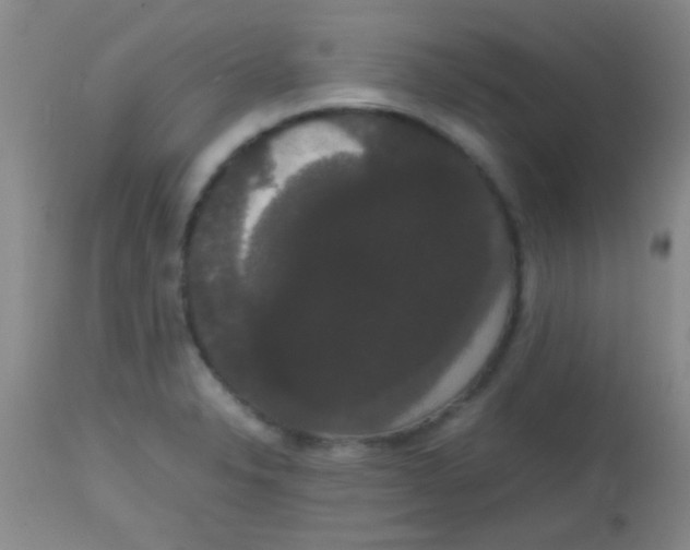 X0000113851326200910151202