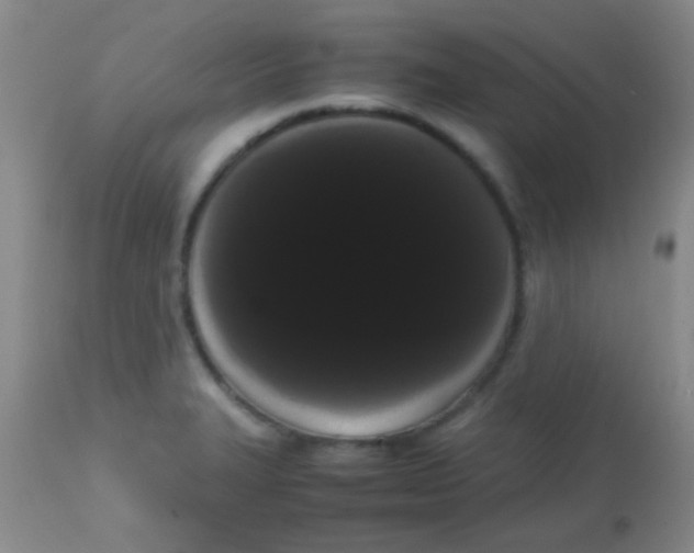 X0000113851327200910151202