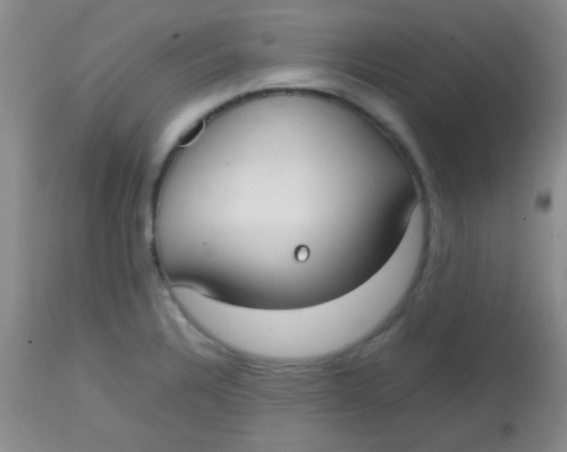 X0000113851328200910151202