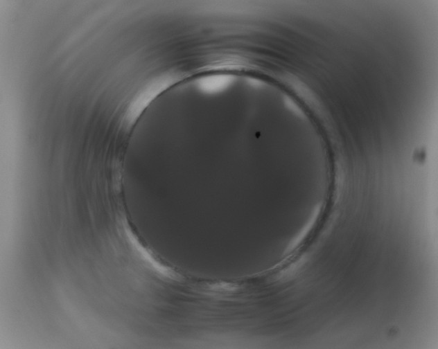 X0000113851329200910151202