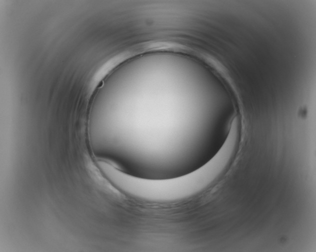 X0000113851330200910151202