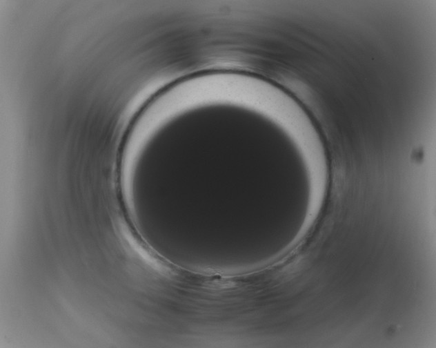 X0000113851331200910151202