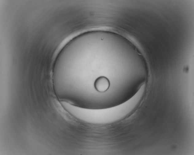 X0000113851332200910151202