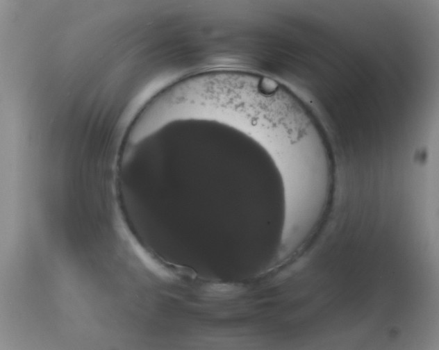 X0000113851333200910151202