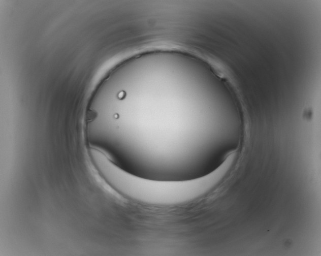 X0000113851334200910151202