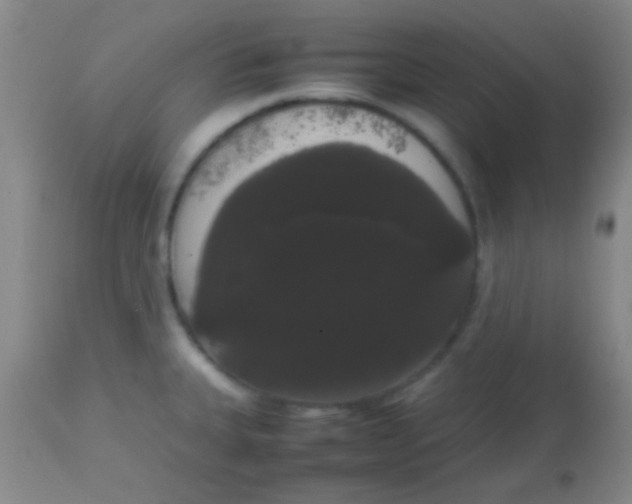 X0000113851335200910151202