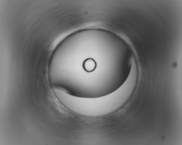 X0000113851336200910151202