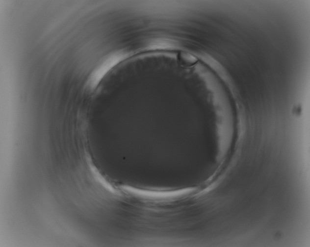 X0000113851337200910151202