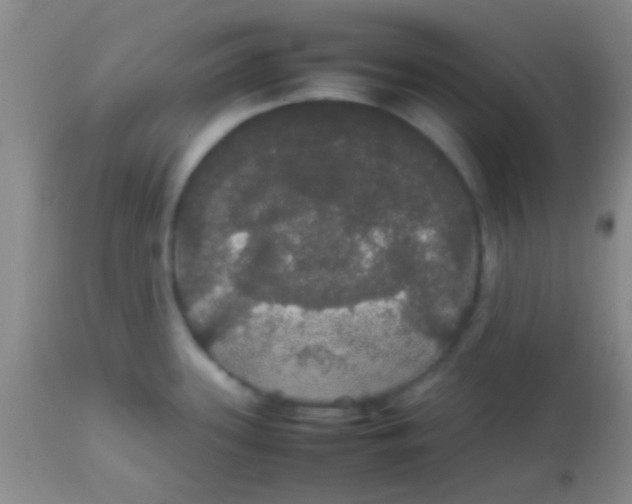 X0000113851339200910151202