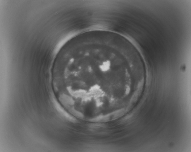 X0000113851341200910151202