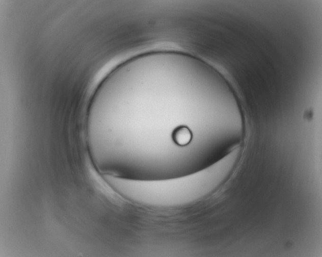 X0000113851342200910151202