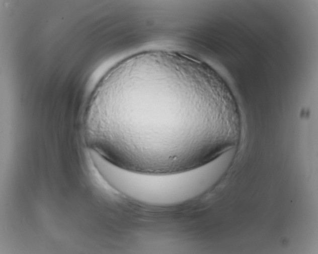 X0000113851344200910151202