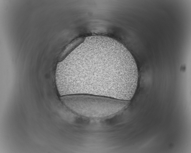 X0000113851345200910151202