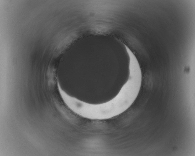 X0000113851346200910151202