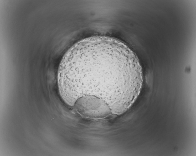 X0000113851347200910151202