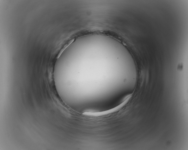 X0000113851348200910151202