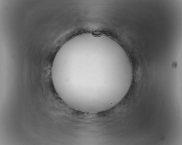 X0000113851349200910151202