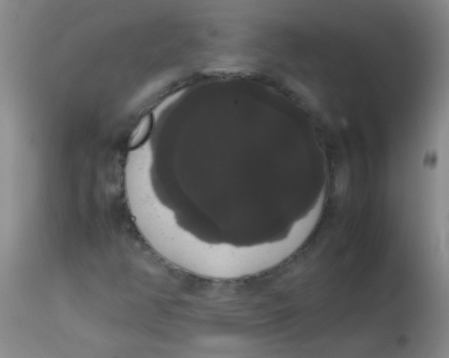 X0000113851350200910151202