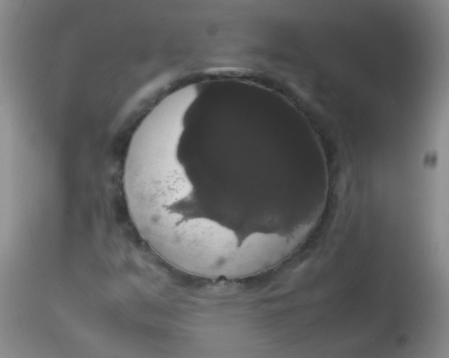 X0000113851351200910151202