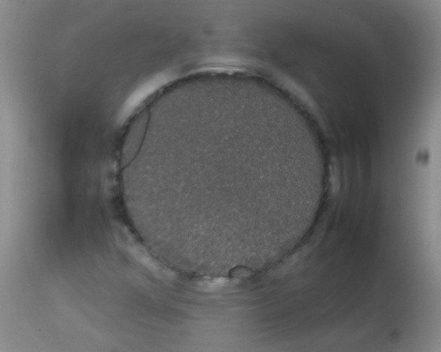 X0000113851352200910151202