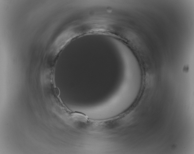 X0000113851353200910151202