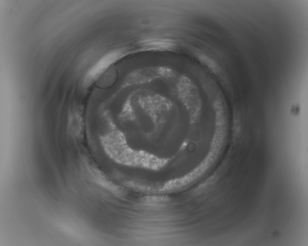 X0000113851354200910151202