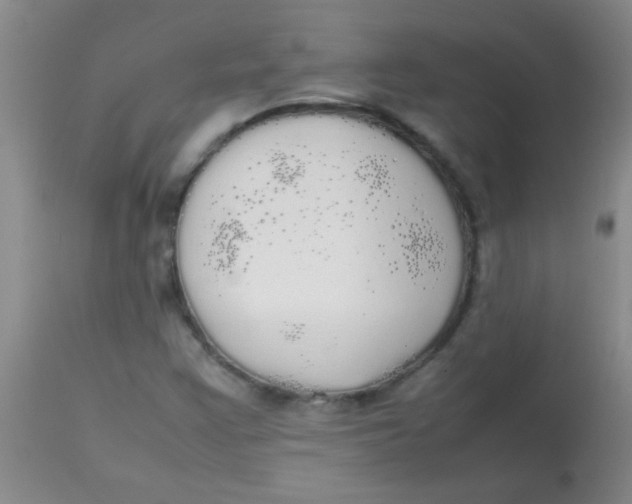 X0000113851355200910151202