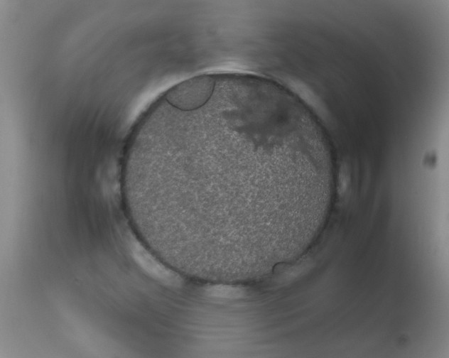 X0000113851356200910151202