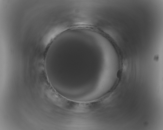 X0000113851357200910151202