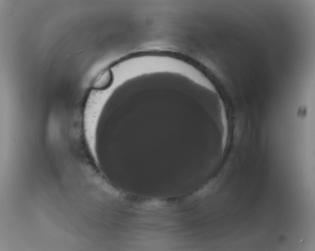 X0000113851358200910151202