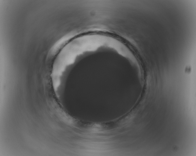 X0000113851359200910151202