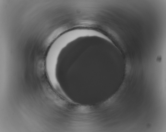 X0000113851362200910151201