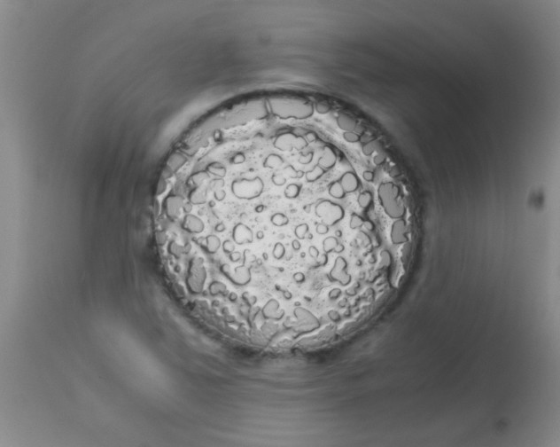 X0000113851363200910151201