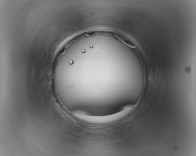 X0000113851364200910151201