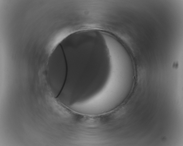 X0000113851365200910151201