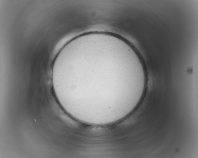 X0000113851366200910151201