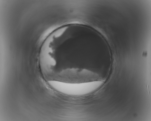 X0000113851367200910151201