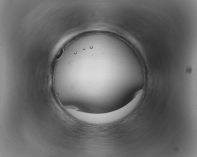 X0000113851368200910151201