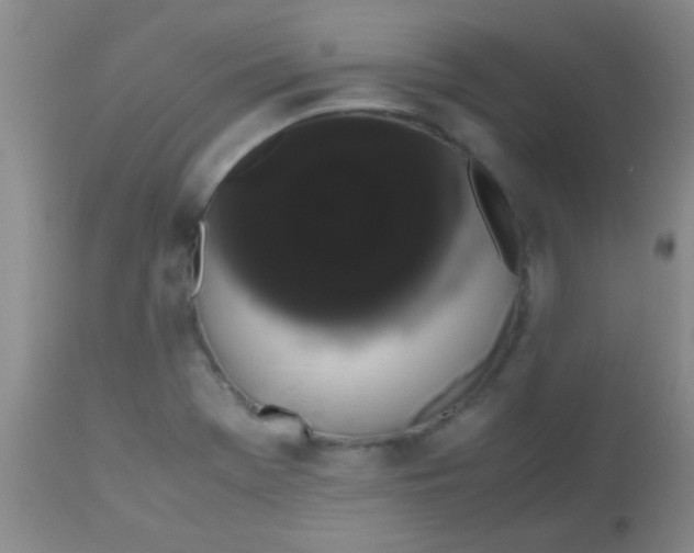 X0000113851369200910151201