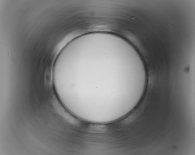 X0000113851370200910151201