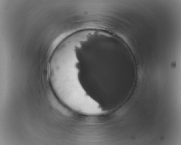 X0000113851371200910151201