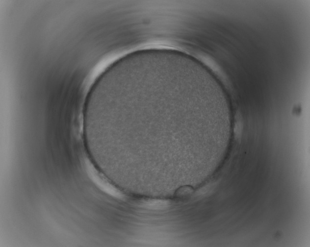 X0000113851372200910151201