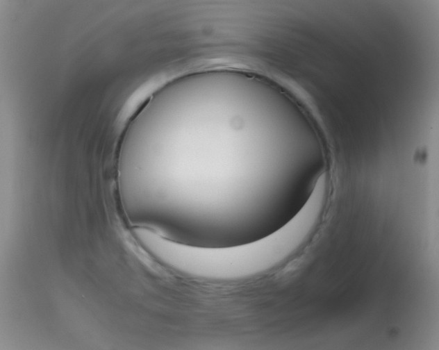 X0000113851373200910151201