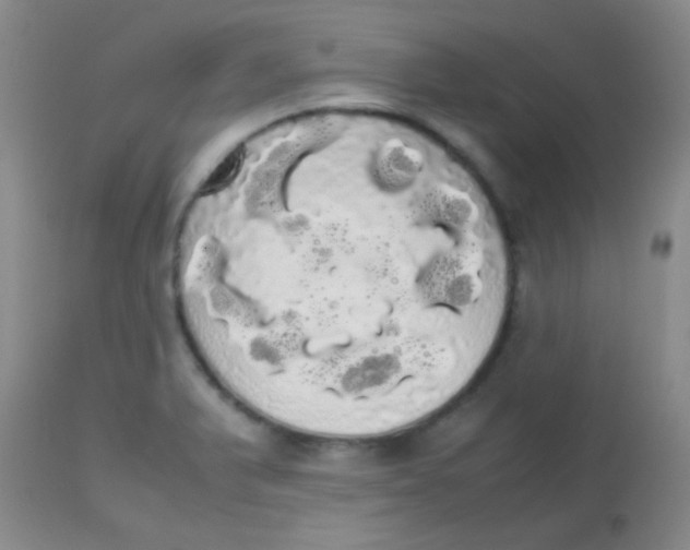 X0000113851375200910151201