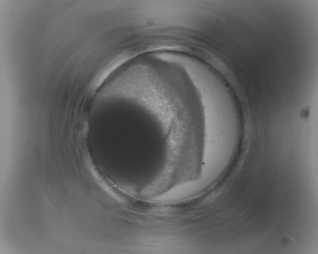 X0000113851377200910151201