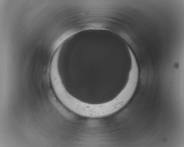 X0000113851378200910151201