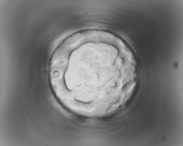 X0000113851379200910151201