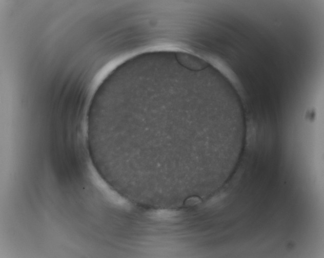 X0000113851380200910151201