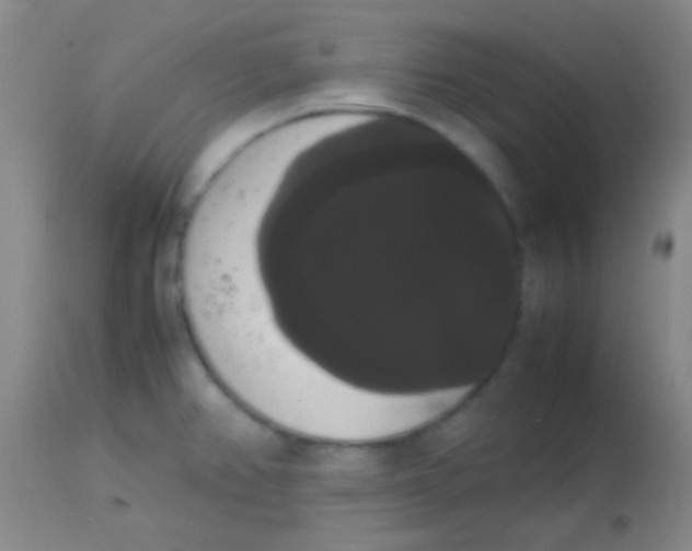 X0000113851382200910151201